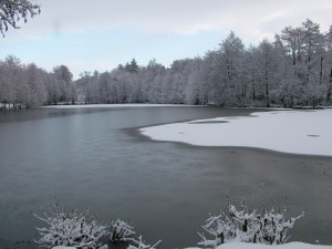 Lac du camping de Blangy le Château